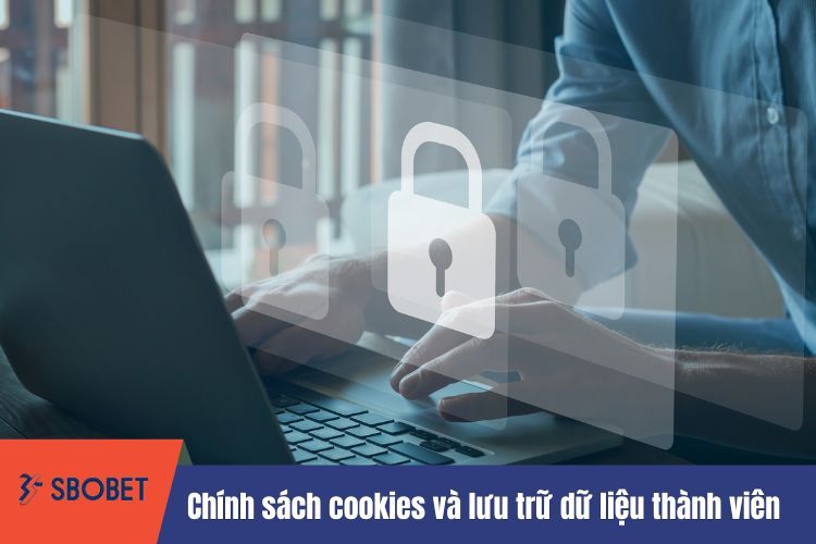 Chính sách cookies và lưu trữ dữ liệu thành viên