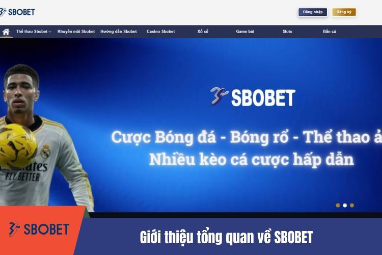 Giới thiệu tổng quan về SBOBET